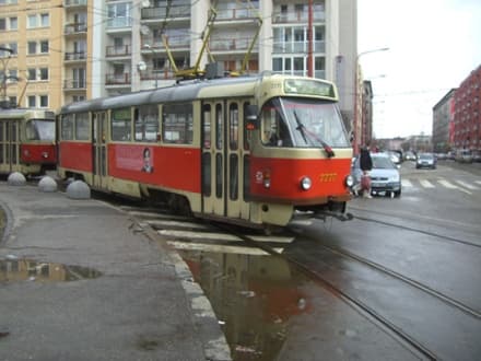 Vezető nélküli villamos szabadult el Temesváron