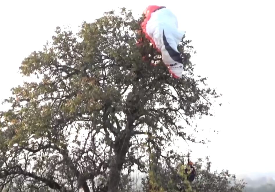 Egy tíz méter magas fán kötött ki a 17 éves siklóernyős lány