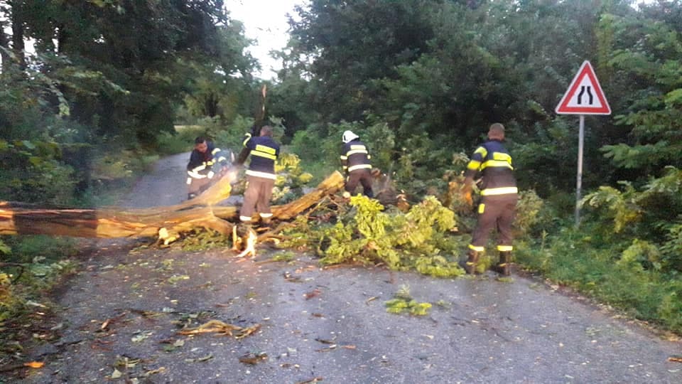 Útra dőlt fák okoztak fennakadást a Csallóközben, Medve és Szap között egy autóban is kár keletkezett (FOTÓK)
