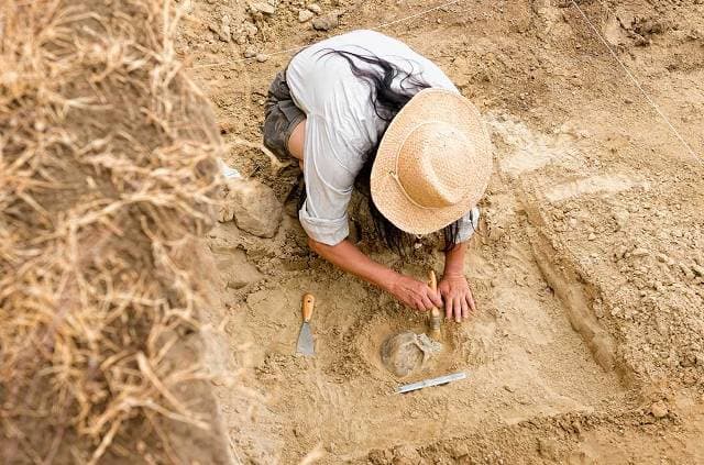 Újabb ókori szarkofágokat tártak fel az egyiptomi Szakkarában folyó nagyszabású ásatáson
