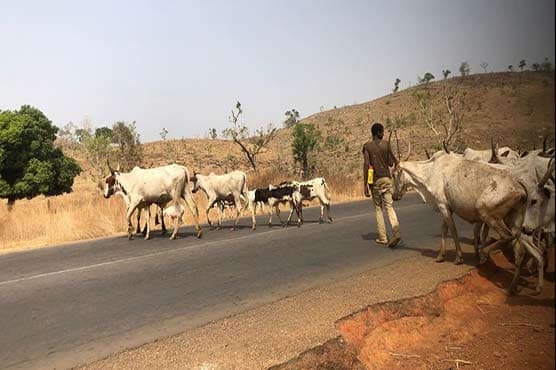 Földművesek és állattenyésztők csaptak össze Csádban, sokan meghaltak