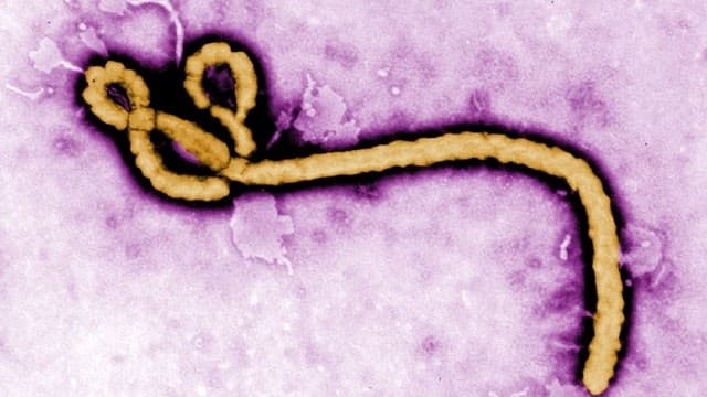 Tovább terjed az ebolavírus a Kongói DK-ban, Ugandában oltási kampányt indítottak