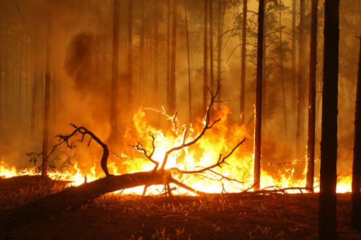 Tűz ütött ki a Dobrocsi Őserdőben