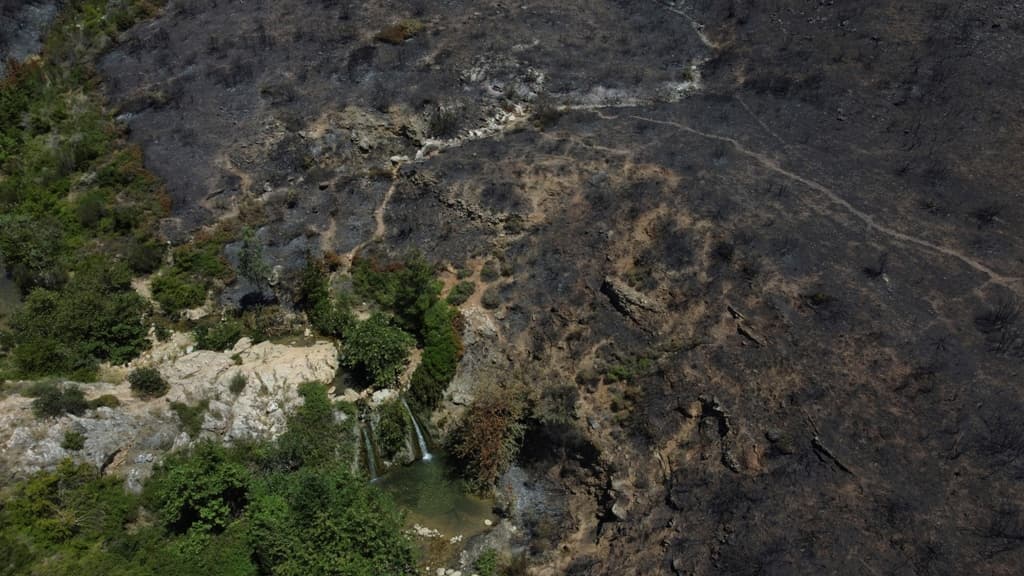 Erdőtüzek pusztítottak a népszerű görög tengerpart közelében, egy üdülőhelyet ki kellett üríteni