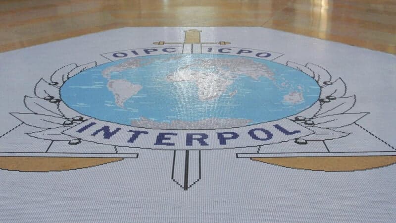 A nyilvánosság segítségét kéri kihűlt esetek megoldásában az Interpol