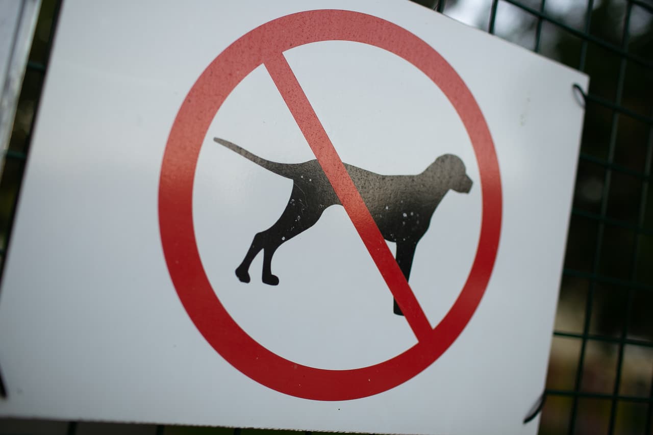 ÉSZMEGÁLL: Bűncselekménynek minősül, ha valaki a parkban sétáltatja a kutyáját ebben az országban!