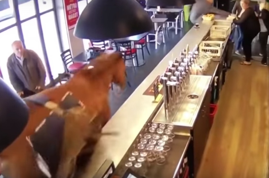 Lóhalálában bevágtatott egy ló egy kocsmába (VIDEÓ)