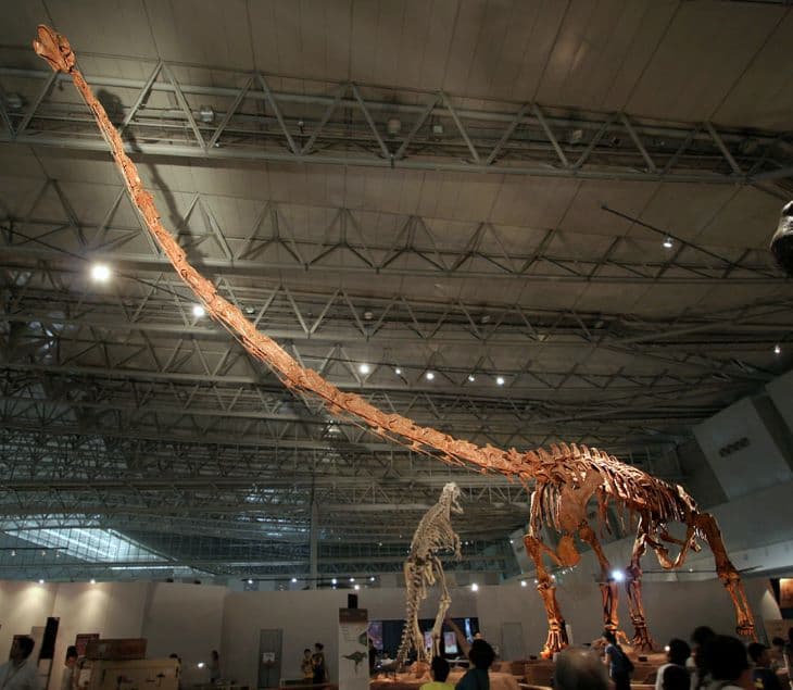 Hat zsiráfnak megfelelő hosszúságú nyaka volt a nyakhosszrekordot tartó dinoszaurusznak