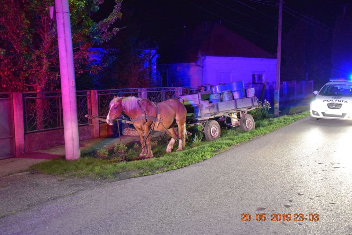 Ittas hajtót büntettek a rendőrök Hetényen – társa ült a helyére a lovaskocsin, az igazi kaland csak ekkor kezdődött!
