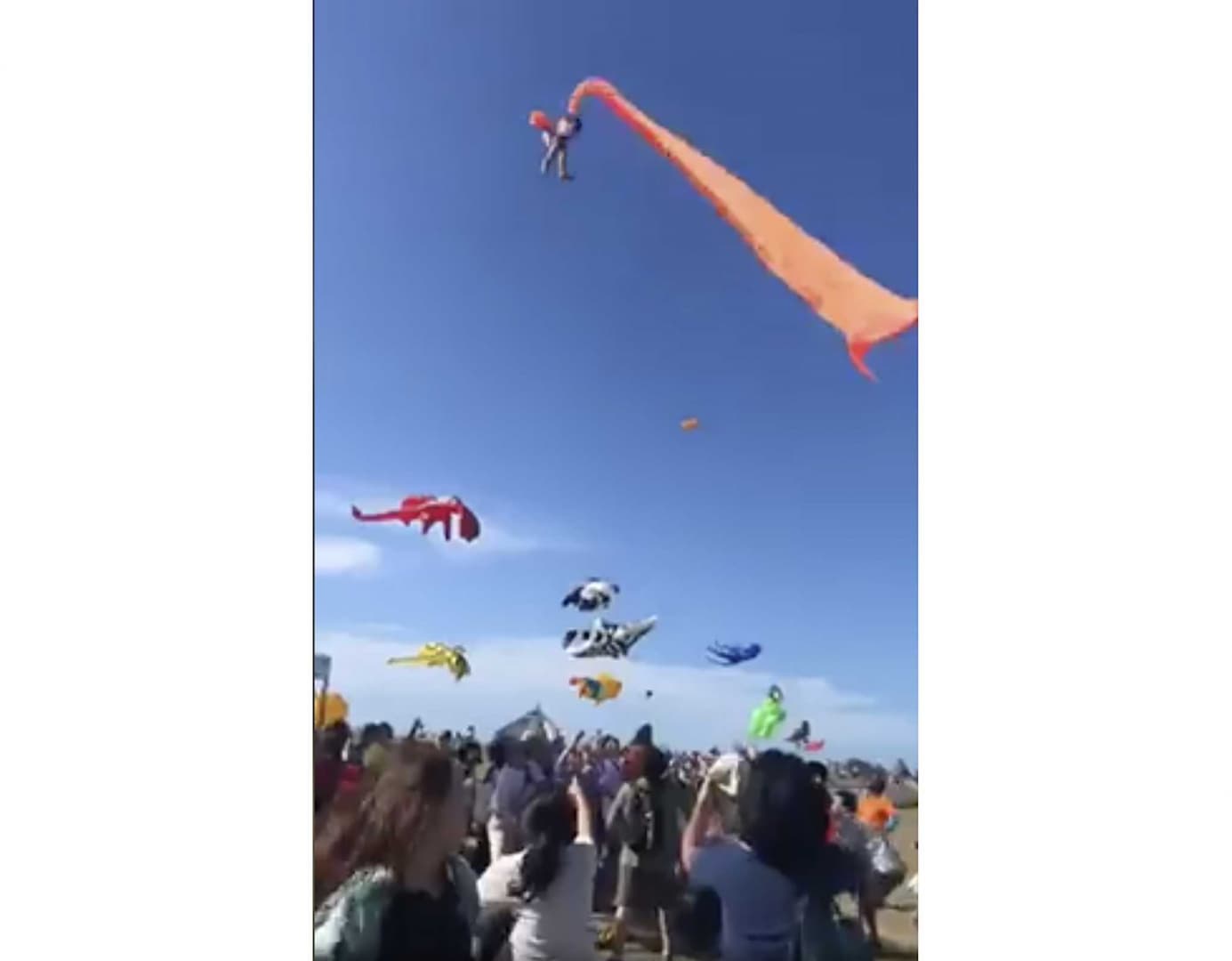 SZÖRNYŰ: Szélsárkány repített a magasba egy kislányt (VIDEÓ)