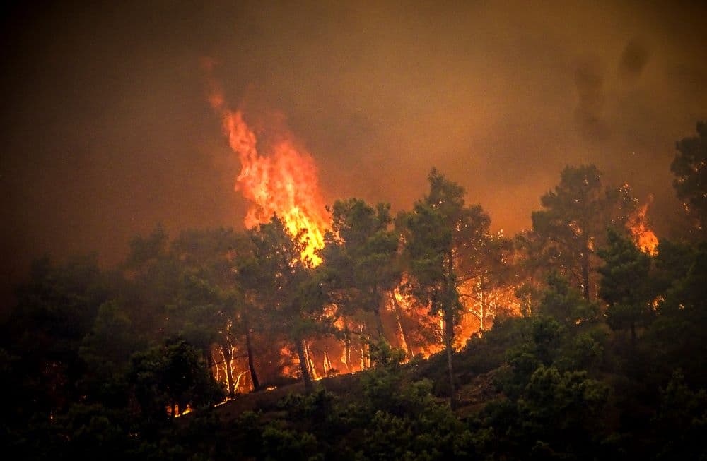 Farmokat és üzemeket pusztítottak el a lángok Görögországban, egyre több a halálos áldozat